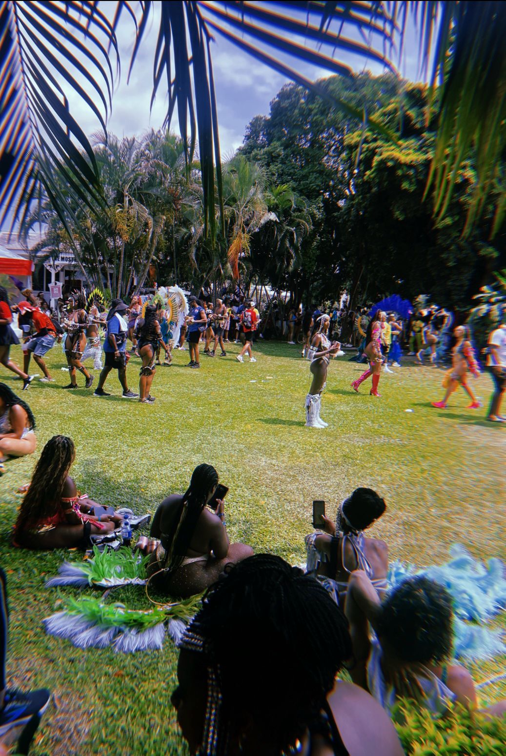 Jamaica-carnival.com4 Jamaica carnival.com4