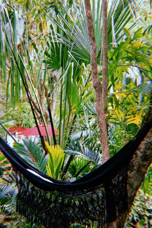 spa hammock spa hammock